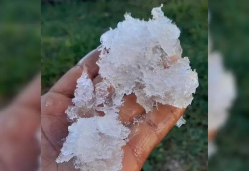 Las bajas temperaturas han dejado heladas en Nochixtlán