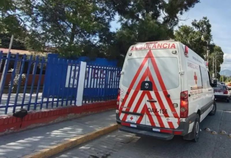 Rápidamente los menores recibieron atención