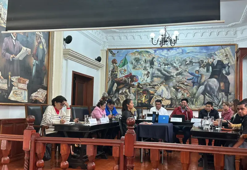 La Ley será aprobada aun por el Congreso del Estado.
