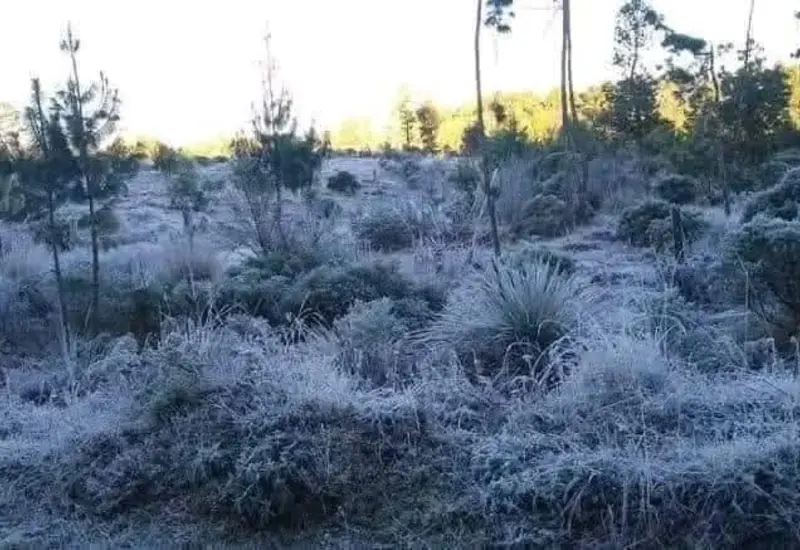Las bajas temperaturas registraron menos 5 grados centígrados en la Mixteca.