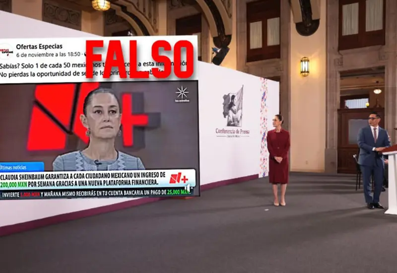 shainbaum-falso