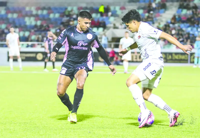 alebrijes_oaxaca_vs_la_paz
