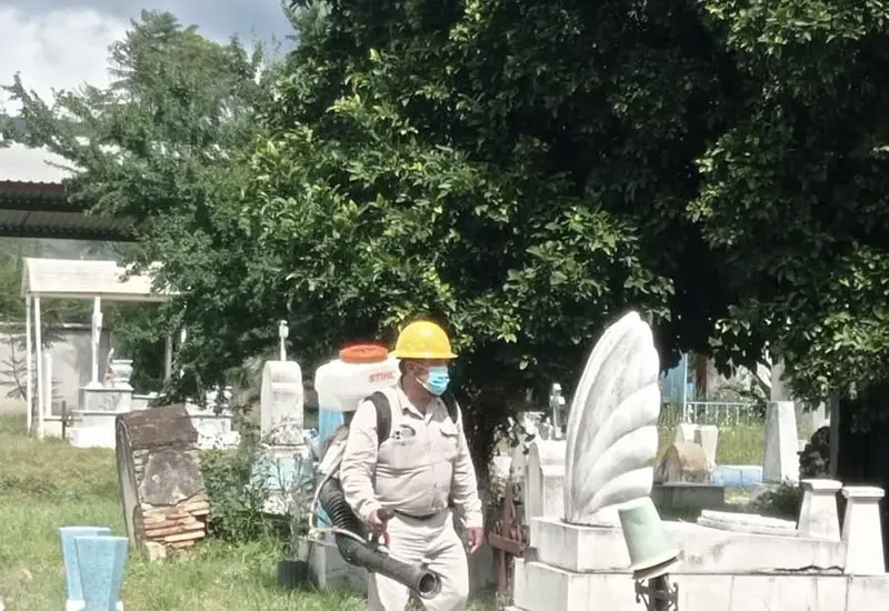 dengue-panteón
