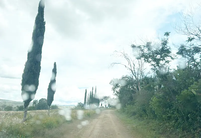 paz