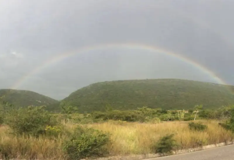 La zona de conservación tiene fauna endémica de la Mixteca.