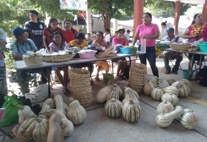 Por primera vez, campesinos del programa federal  "Sembrando Vida" instalaron un tianguis en la co- lonia Benito Juárez para expender los productos  que cosecharon.