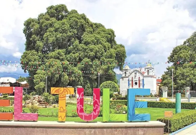 festival_internacional_arbol_del_tule