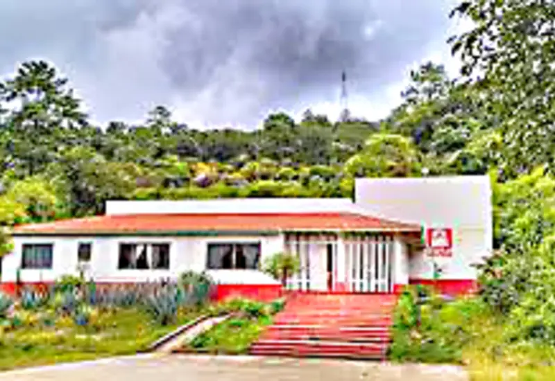 voz-juarez