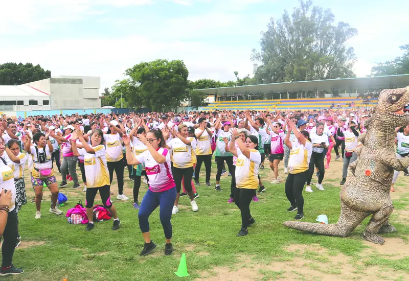 ACTIVACION INDET (2)