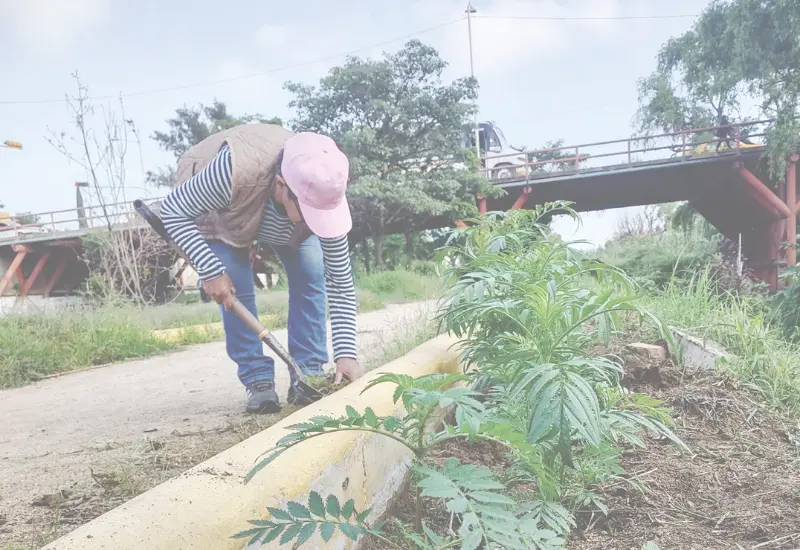 urgen_voluntarios_cuidado_rio_atoyac