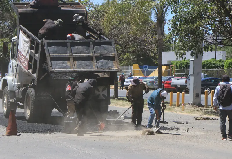 baches