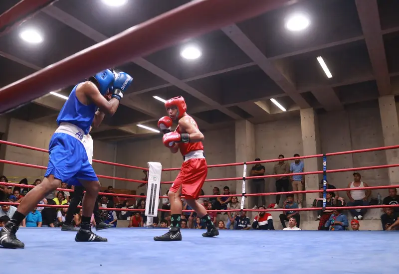 boxeo