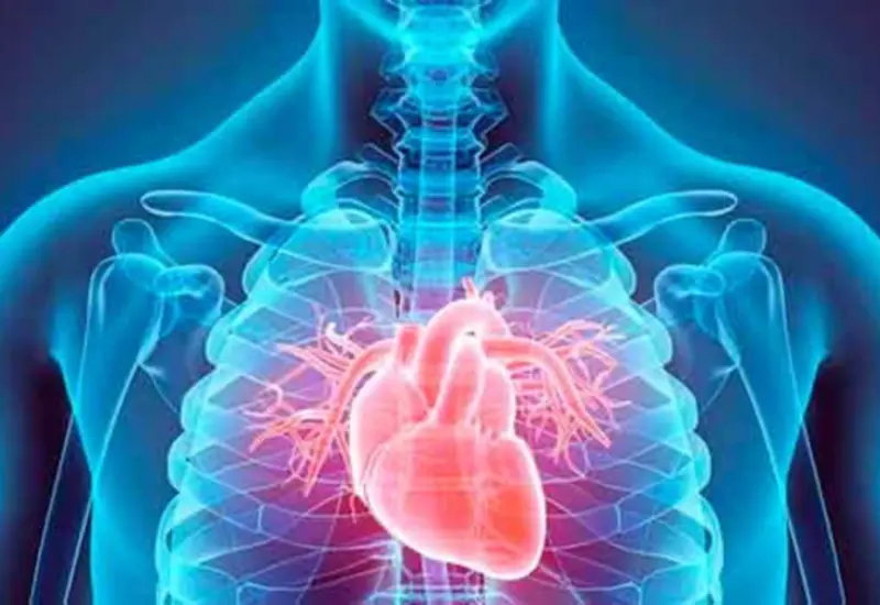 enfermedades_corazon_causa_mortalidad_mexico