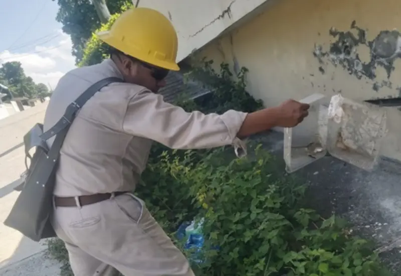 dengue