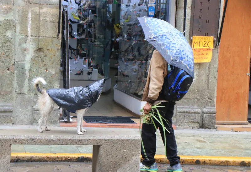 lluvias