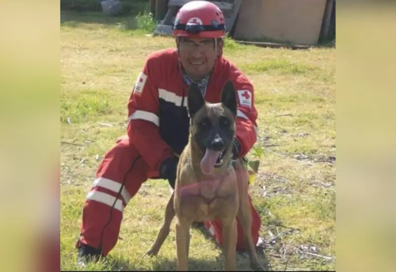 perro