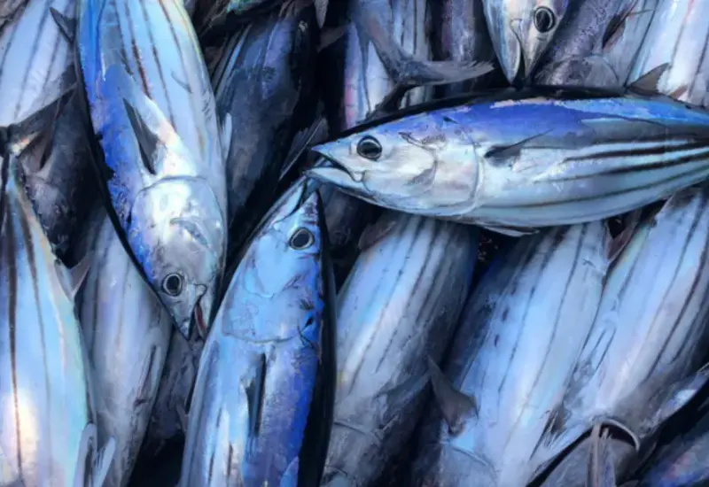 pescadores_mar
