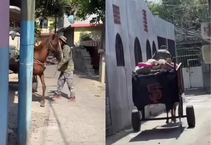 caballo-huajuapan-portada