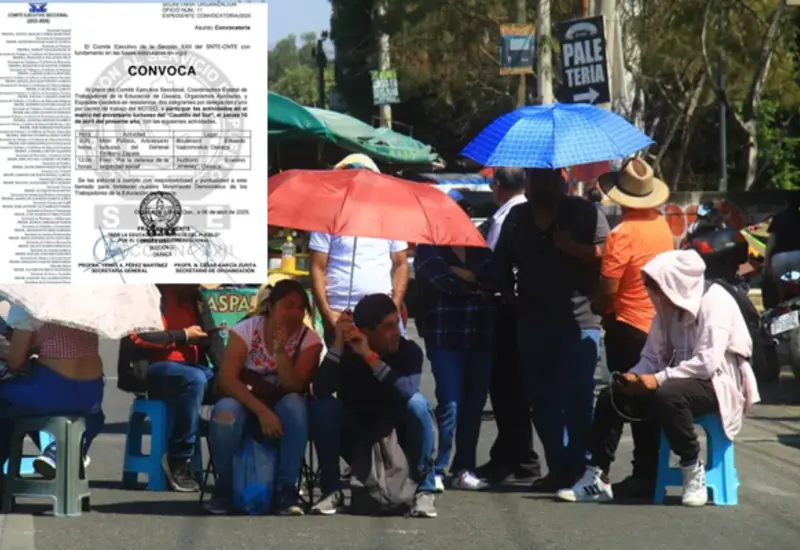docentes_actividades