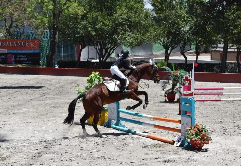 equitacion-oaxaca2