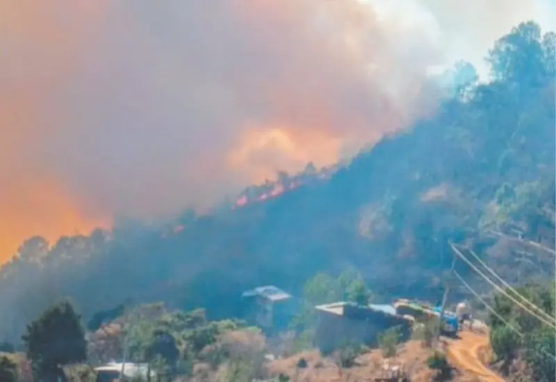incendio-manzanito-portada