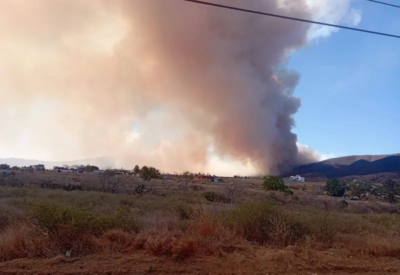 incendio-oaxaca2