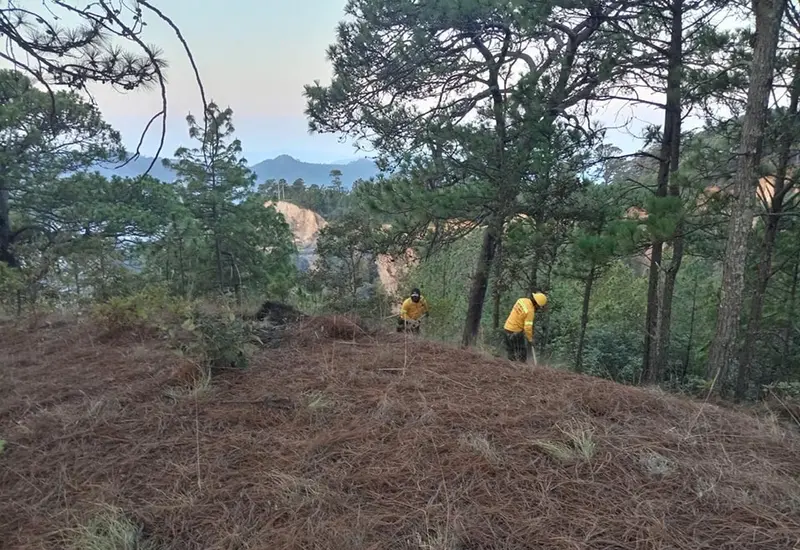 oaxaca_incendios_forestales