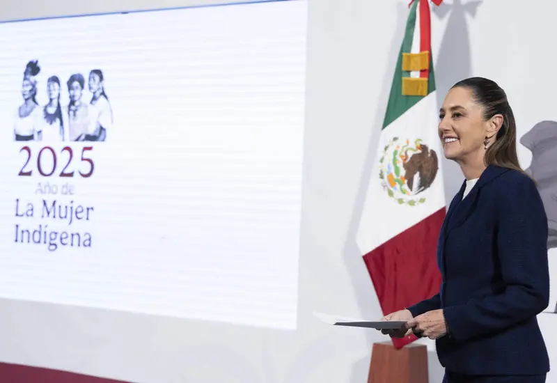 ine_electoral_cambios_sheinbaum_consulta