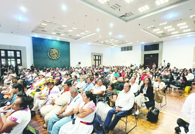 indigenas_afros_reconocimeinto_gobierno