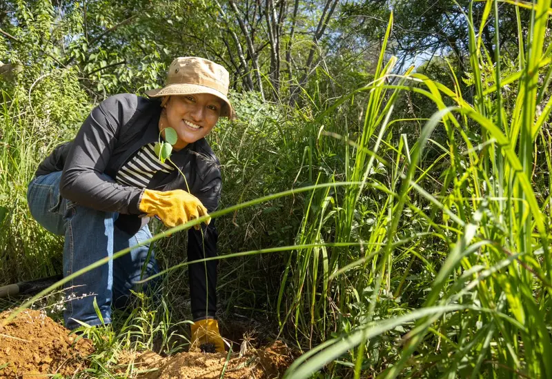 reforestacion_ambiente_oaxaca