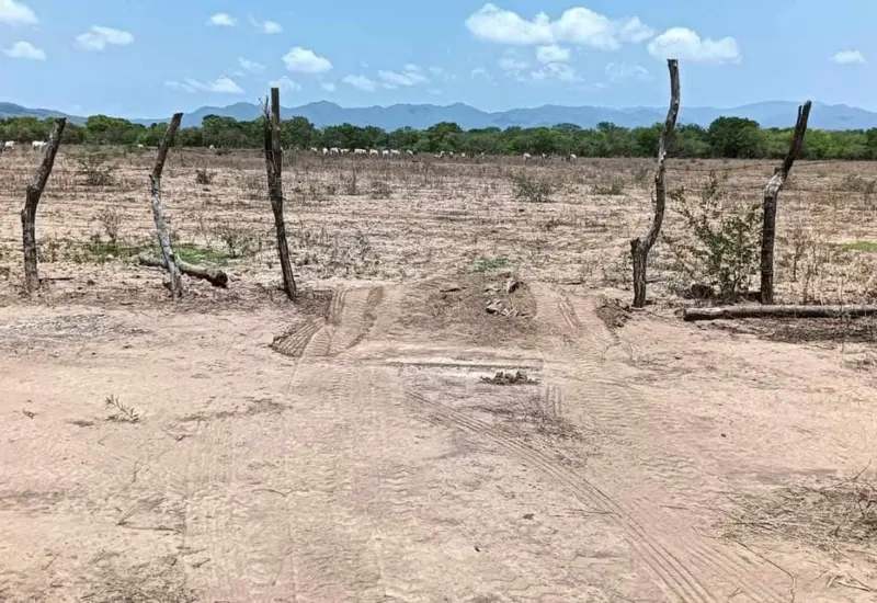 tierras_oaxaca_invasion