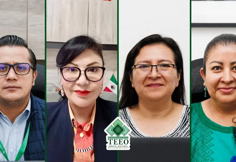 teeo_electorales