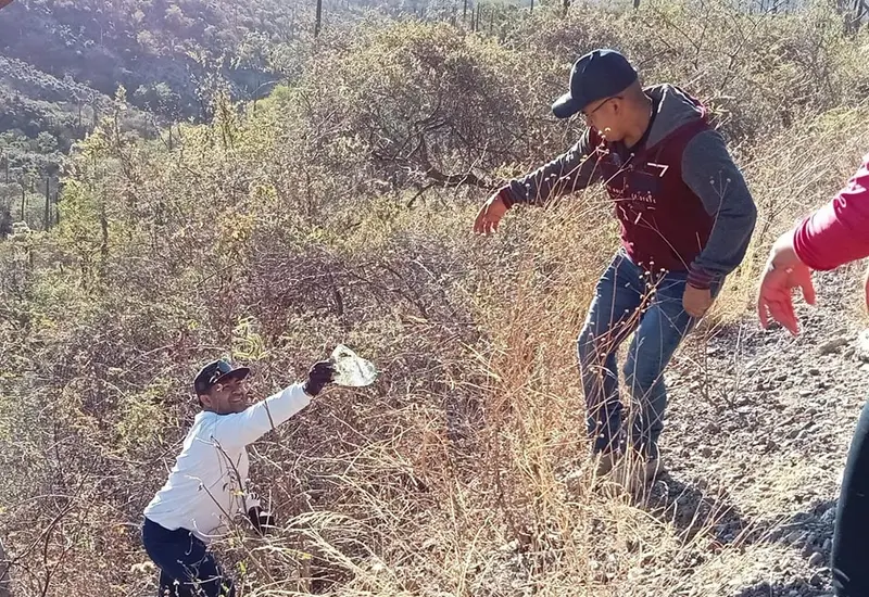 seguridad_basura