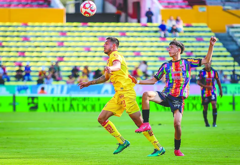 fut_alebrijes