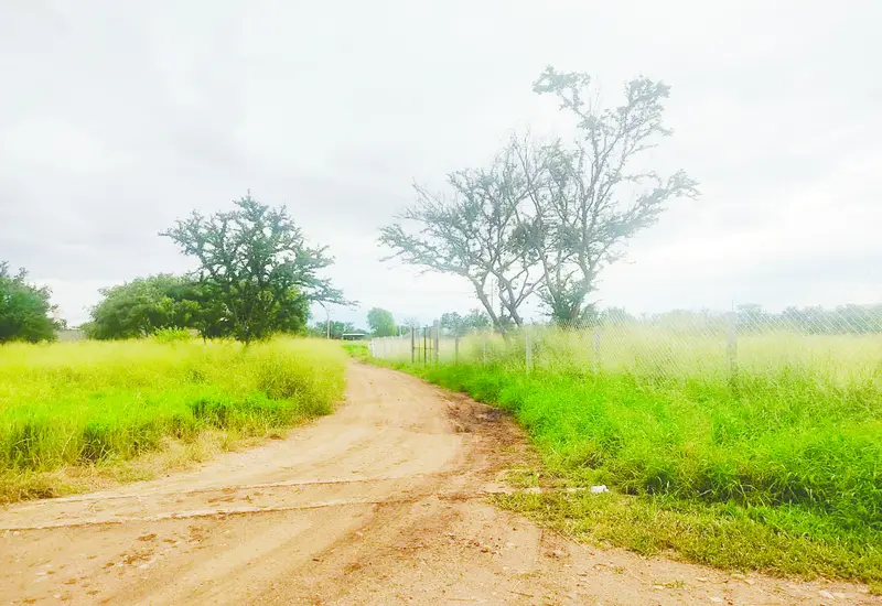 mesera_asesinada_bar_oaxaca
