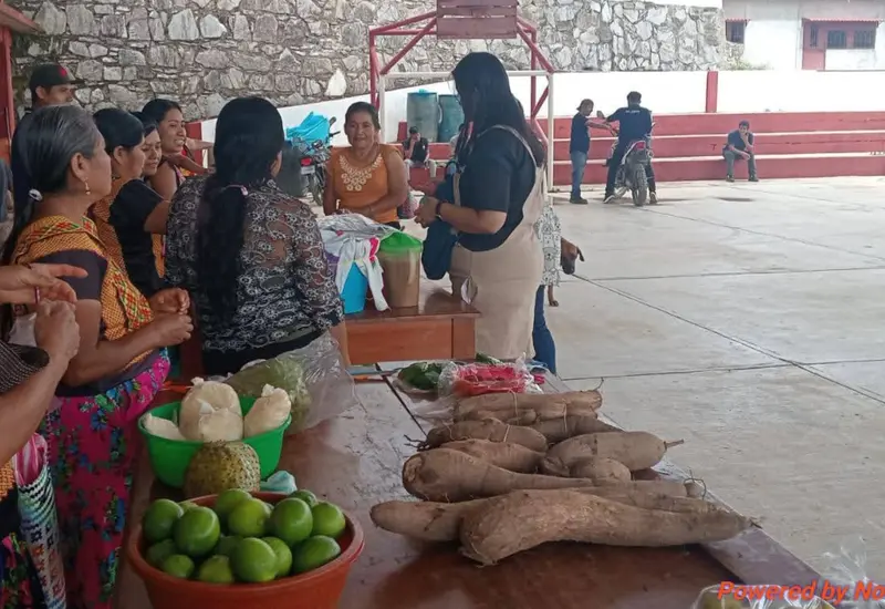 comercio-campesinos-tehuantepec