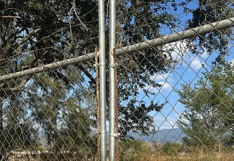 Un perro dorbeman estaba abandonado en un terreno.