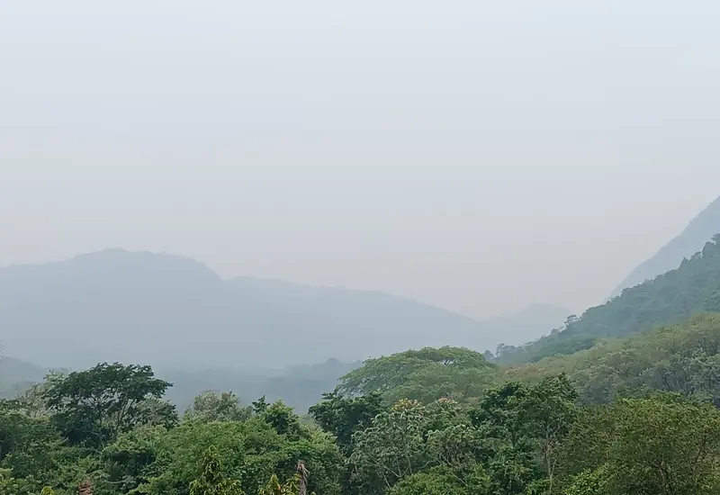 Una densa neblina cubre el paisaje montañoso de la Sierra Mixe, reduciendo la visibilidad a causa de las bajas temperaturas en la región.