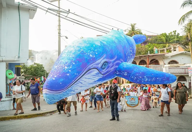 El Ballena Fest 2025 da inicio en Puerto Ángel para celebrar la espectacular llegada anual de las ballenas jorobadas a la costa oaxaqueña.