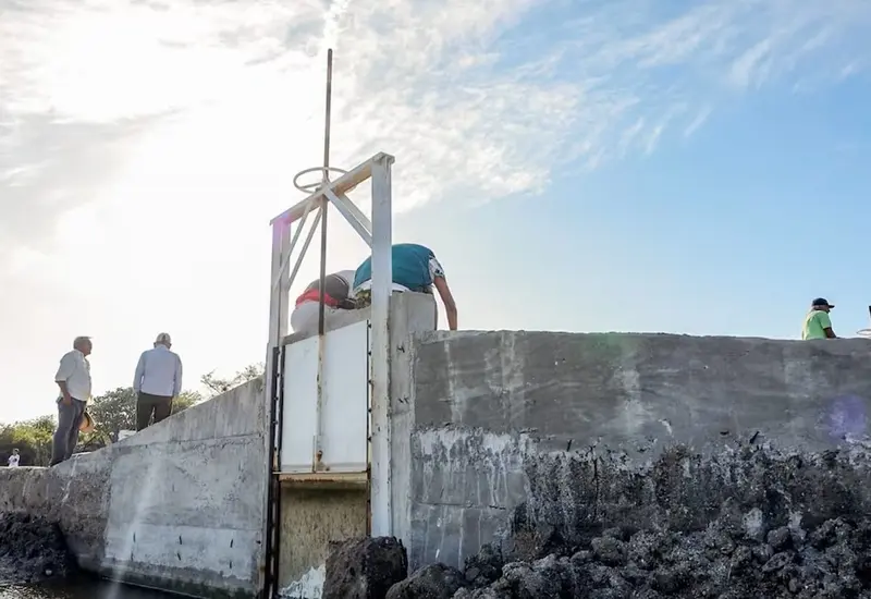 Trabajos de construcción de la nueva compuerta estratégica en la laguna Santa Cruz, una obra que beneficiará a más de mil pescadores locales.
