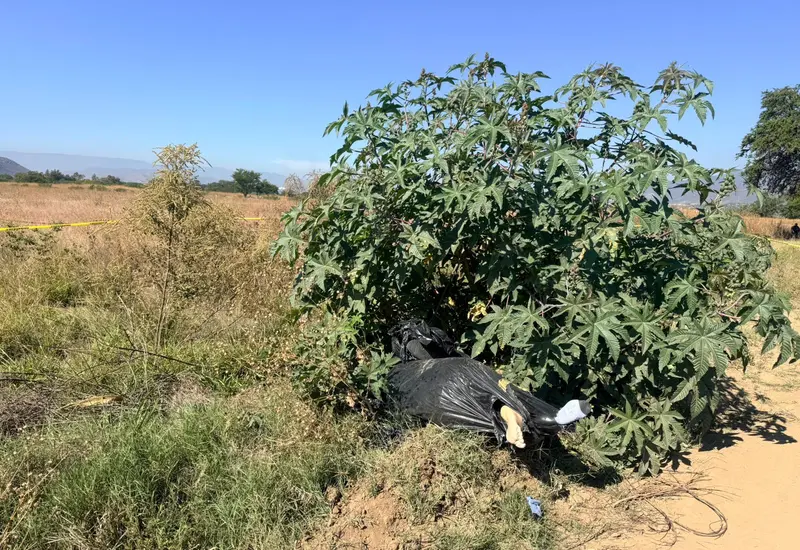 Los cuerpos de un hombre y una mujer hallados dentro de una bolsa negra en Tlalixtac de Cabrera, Oaxaca, tras ser torturados y ahogados.
