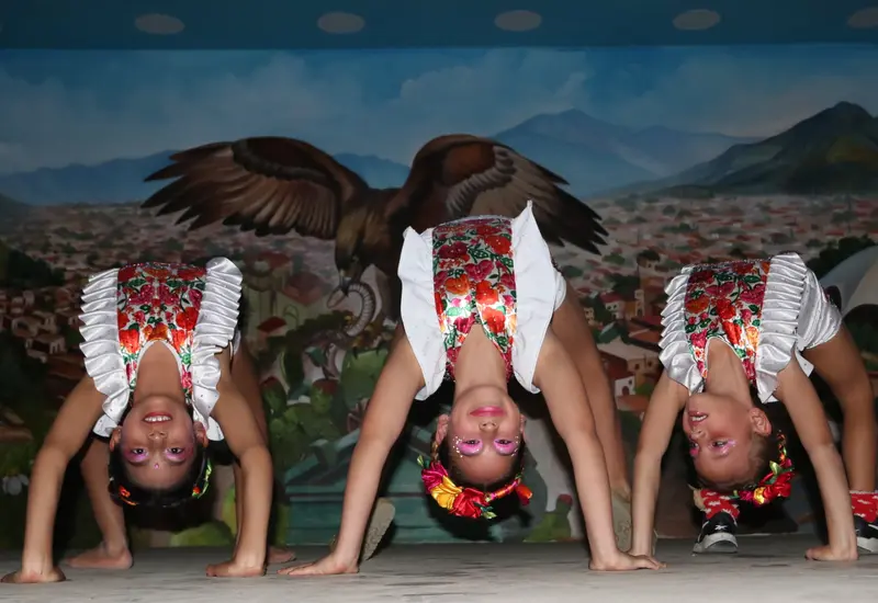 Participantes en una exhibición de danza aérea comparten sus rutinas y demuestran su talento en esta disciplina artística frente al público.