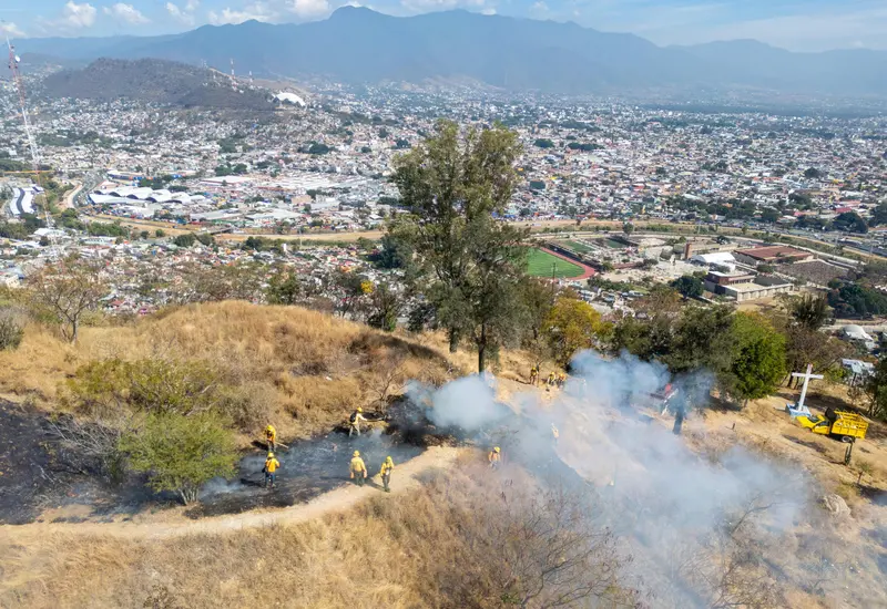 Trabajadores crean una franja de protección forestal como medida para prevenir incendios en los alrededores de la zona arqueológica de Monte Albán.