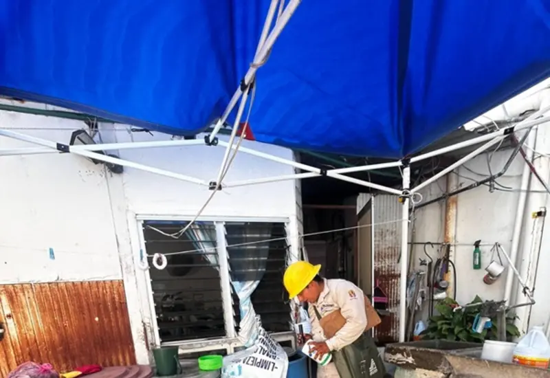Imagen del mosquito Aedes aegypti, transmisor del dengue, que resiste el clima frío y ha provocado nuevos casos en Oaxaca durante el invierno.