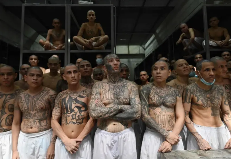 Pandilleros de la MS-13 en un tribunal durante el juicio donde fueron sentenciados a prisión bajo el régimen de excepción.