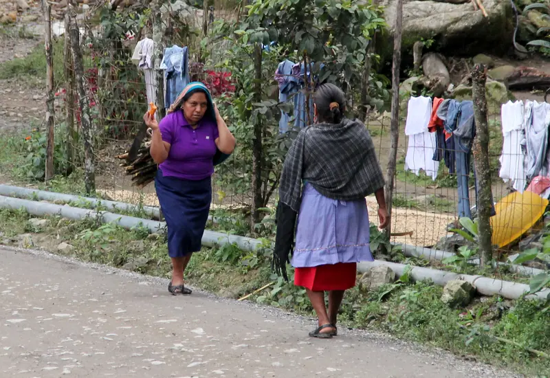 La propuesta de reforma electoral busca fortalecer la participación de las comunidades indígenas y afromexicanas, colocándolas en el centro del debate democrático.