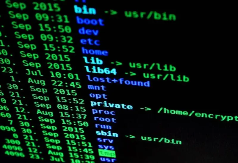 Una imagen que muestra las crecientes tensiones políticas en Honduras en medio de la investigación por un presunto hackeo en las elecciones generales.