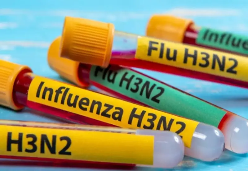 Un especialista de la salud realiza pruebas de vigilancia sanitaria en un laboratorio para la detección del virus de influenza A H3N2 en México.