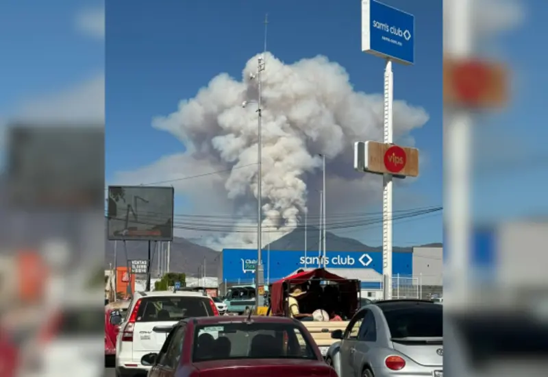 En febrero se cumplirá un año del siniestro forestal que calcinó unas 100 hectáreas de bosque.