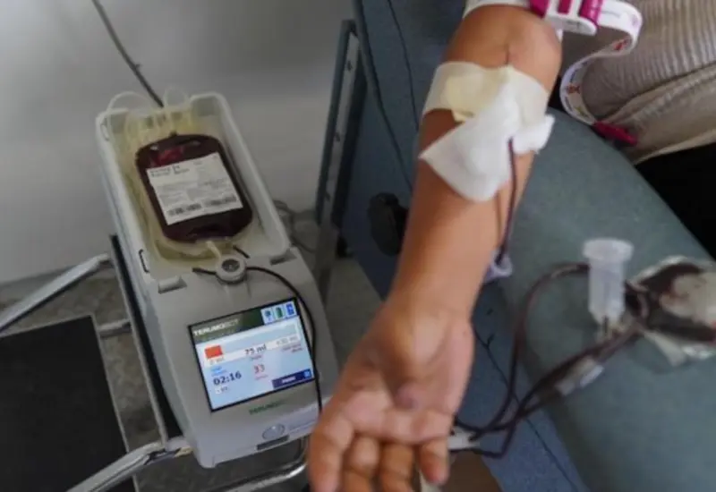 sangre_donación_imss